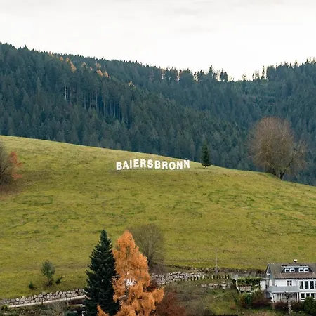 Haus Irene Gemuetlich Moderner Schwarzwald Baiersbronn