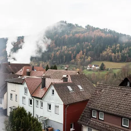Haus Irene Gemuetlich Moderner Schwarzwald Baiersbronn