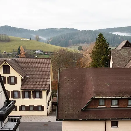Haus Irene Gemuetlich Moderner Schwarzwald Apartment