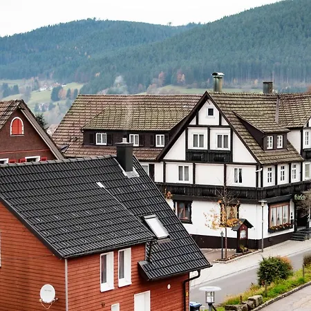 Apartment Haus Irene Gemuetlich Moderner Schwarzwald *